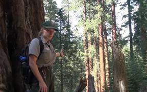 SKCNP: Redwood Mountain Virtual Tour Part 1 - Fun - VIDEOTIME.COM