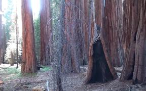 SKCNP: Redwood Mountain Virtual Tour Part 2 - Fun - VIDEOTIME.COM