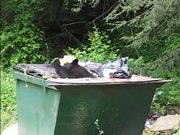 Cumberland Gap NHP: Is Your Trash Secure?