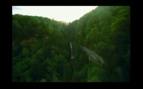 Cumberland Gap NHP: Black Bears in Kentucky - Animals - VIDEOTIME.COM