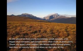 Gates Of The Arctic NP: Tundra Landscapes - Fun - VIDEOTIME.COM