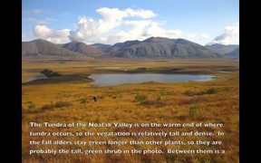 Gates Of The Arctic NP: Tundra Landscapes - Fun - VIDEOTIME.COM