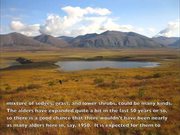 Gates Of The Arctic NP: Tundra Landscapes