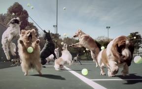 Jungle Video: Fetch - Commercials - VIDEOTIME.COM