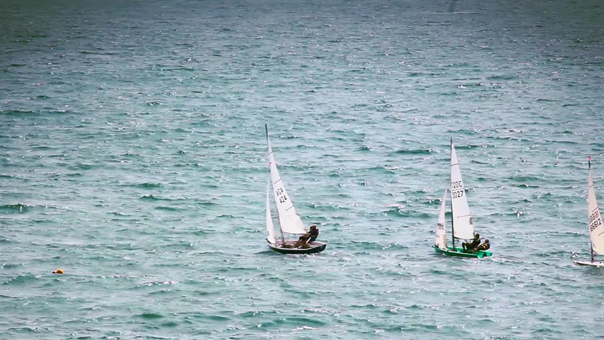 Sailing Dingy's In the Sea