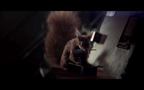 Smithwick’s Commercial: Thirsty Squirrel - Commercials - VIDEOTIME.COM