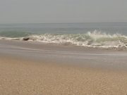 Waves Video