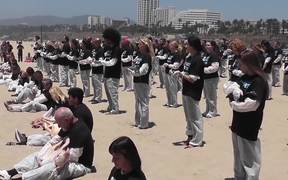 Dead Animal Protest Santa Monica on May 31, 2014 - Animals - VIDEOTIME.COM