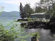 Drive By Birds In Water Alaska - Animals - Y8.COM