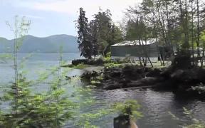 Drive By Birds In Water Alaska - Animals - Videotime.com
