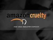 Foie Gras Hudson Valley Duck Cruelty Undercover