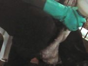 Foie Gras Hudson Valley Duck Cruelty Undercover