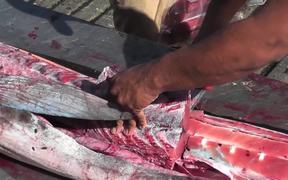 Swordfish Cutting Up Close Up Cabo San Lucas - Animals - VIDEOTIME.COM