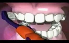 Tooth Clean - Kids - VIDEOTIME.COM