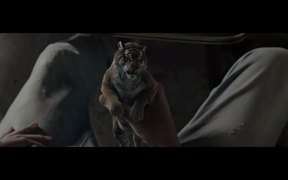 Tiger Energy Drink Commercial: Party - Commercials - VIDEOTIME.COM