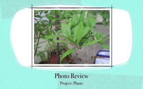 Project 5 Plants and Nature - Kids - VIDEOTIME.COM