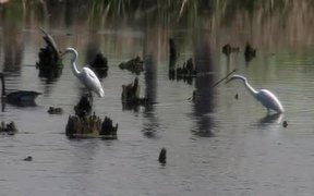 Mississippi N-l River&Recreation Area:Park Video 1 - Fun - VIDEOTIME.COM