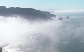 Redwood National and SP: Fog in the Redwoods - Fun - VIDEOTIME.COM