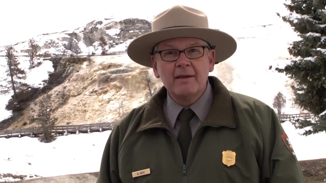 Yellowstone National Park: Rumor Control