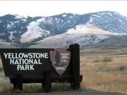 Yellowstone National Park: Fountain Geyser