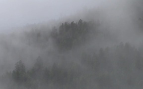 Yellowstone National Park: Morning Fog - Fun - VIDEOTIME.COM