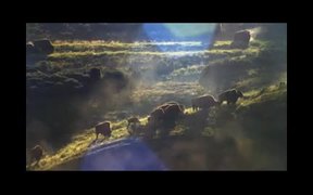 Yellowstone National Park: Land to Life - Fun - VIDEOTIME.COM