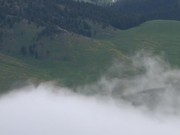 Yellowstone National Park: Morning Fog
