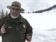 Yellowstone National Park: Winter Wildlife Viewing