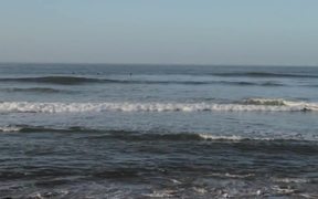 Surfing - Sports - Videotime.com