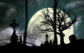 Halloween Graveyard - Weird - VIDEOTIME.COM