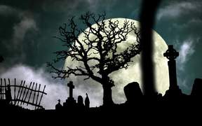 Halloween Graveyard - Weird - VIDEOTIME.COM