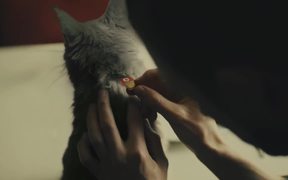 Vodafone Gives a Ride on a Super Kitty - Commercials - VIDEOTIME.COM