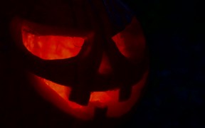 Halloween Pumpkin - Fun - VIDEOTIME.COM