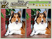 Gimme 5 Dogs - Girls - Y8.com