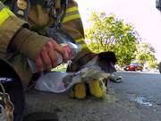 GoPro Camera Video: Fireman Saves Kitten - Commercials - Y8.COM