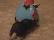 Funny Mini Piggy Tales 2
