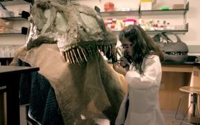 American Museum of Natural History Commercial