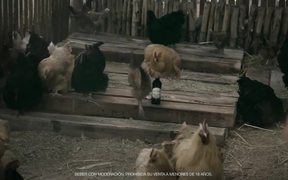 Andes Commercial: Wine Laying Hen - Commercials - VIDEOTIME.COM