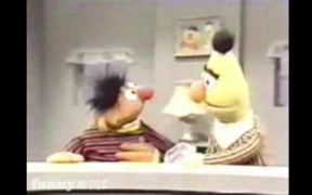 Bert and Ernie Voice Over