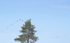 NATO Air Strength triples in Baltic States - Tech - VIDEOTIME.COM