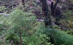 Small Creek - Fun - VIDEOTIME.COM