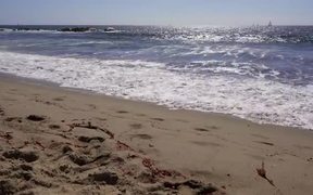 Waves Crashing on California Beach - Fun - VIDEOTIME.COM