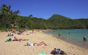 Sun Bathers on Hawaiian Beach - Fun - VIDEOTIME.COM