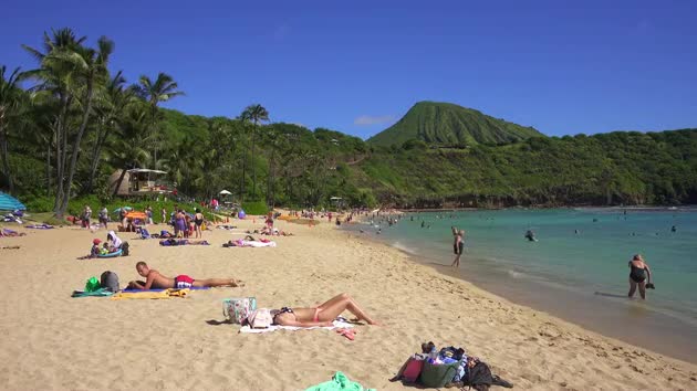 Sun Bathers on Hawaiian Beach - Fun - Videotime.com