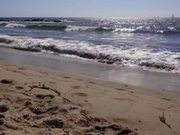 Waves Crashing on California Beach