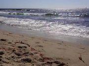 Waves Crashing on California Beach