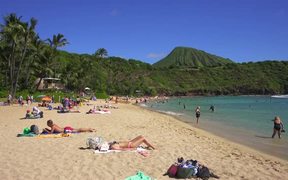 Sun Bathers on Hawaiian Beach