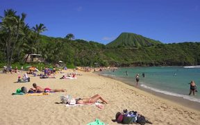 Sun Bathers on Hawaiian Beach - Fun - Videotime.com