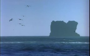 Ocean Waves and Birds - Fun - VIDEOTIME.COM