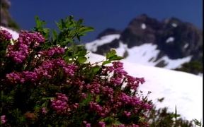 Mountain Scenery Royalty - Fun - VIDEOTIME.COM